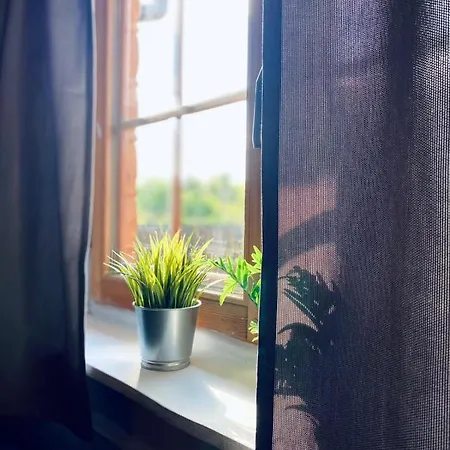 Tatarak Na Mazurach Nad Jeziorem Walpusz - Nr 2 דירה *