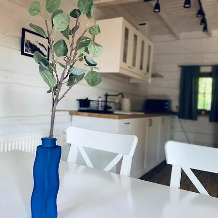 Tatarak Na Mazurach Nad Jeziorem Walpusz - Nr 2 * Stare Kiejkuty