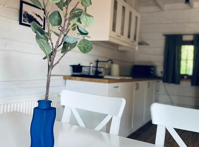 Tatarak Na Mazurach Nad Jeziorem Walpusz - Nr 2 * Stare Kiejkuty